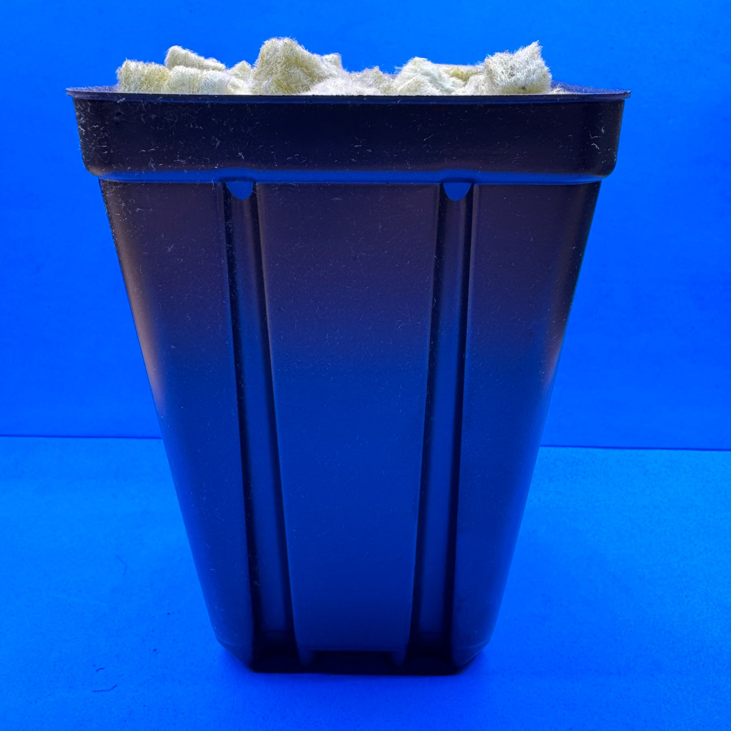Tall Plastic Pot w/ Grodan® Grow Cubes, 5” Tall, 3.5” Square